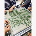 Top Grade Artisan Tai Ping Hou Kui Green Tea Monkey King