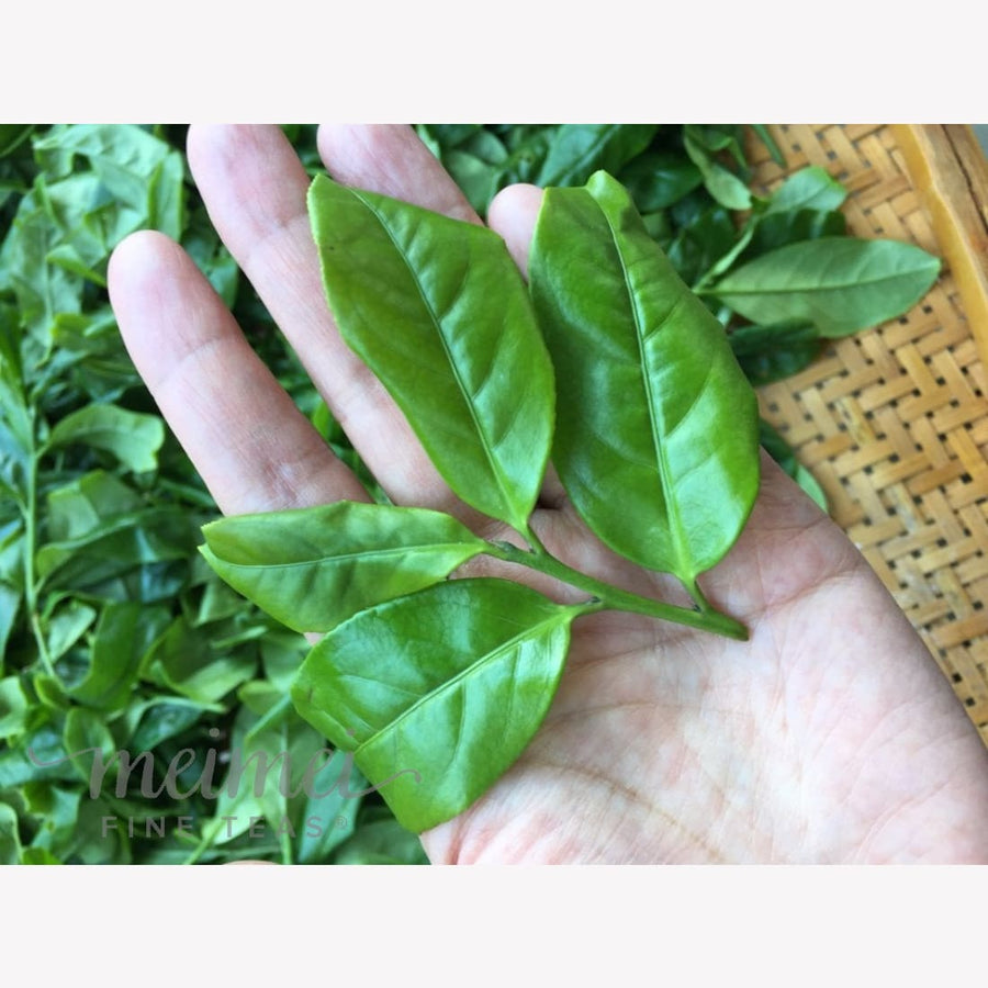 tea class - Virtual In-depth Oolong Tea Education Class and A Flight