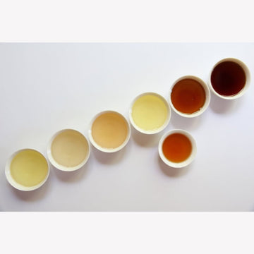 tea class - Virtual Tea Class Fundamentals - Six Classes of Tea